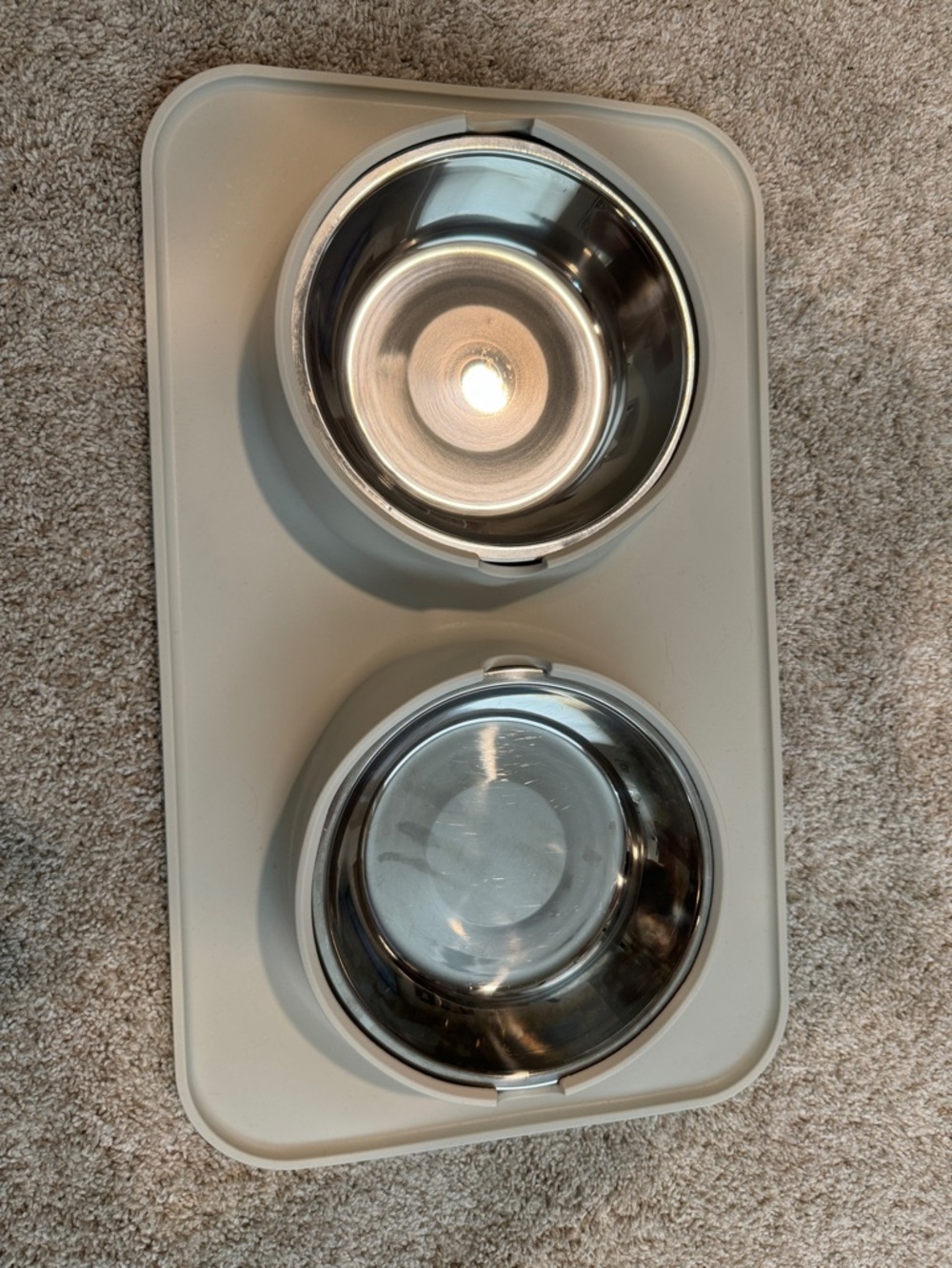 Boots & Barkley: Dog bowl and water set